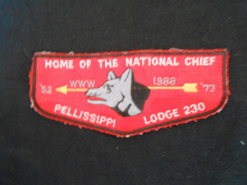 Pellissippi 230 s26 Flap, worn