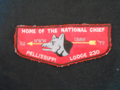 Pellissippi 230 s26 Flap, worn