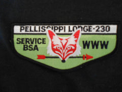 Pellissippi 230 s28 Flap