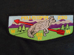 Pellissippi 230 s33 Flap