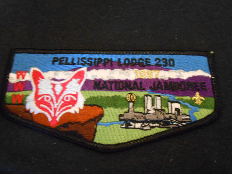 Pellissippi 230 s53 Flap