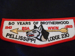 Pellissippi 230 s40 Flap