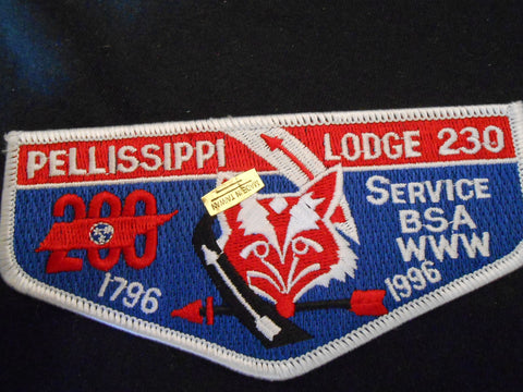 Pellissippi 230 s48 Flap