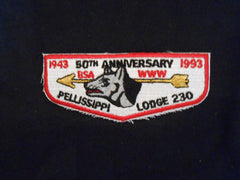 Pellissippi 230 s41 Flap