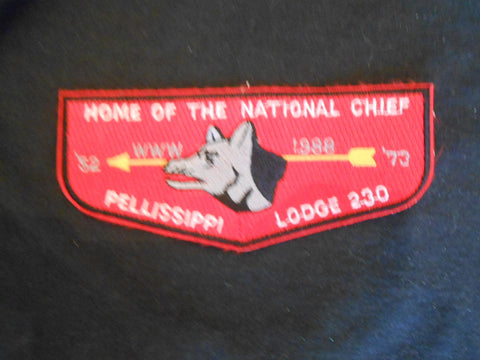 Pellissippi 230 s26 Flap