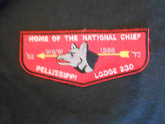 Pellissippi 230 s26 Flap