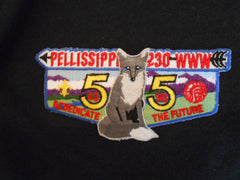 Pellissippi 230 s62 Flap
