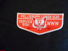 Pellissippi 230 s45.5 Flap