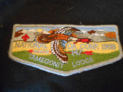 Tamegonit 147 s17 Flap