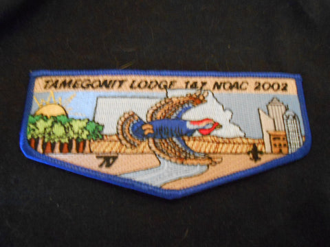Tamegonit 147 s47 Flap