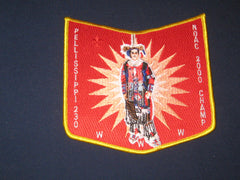 Pellissippi 230 x7 patch-the Carolina Trader