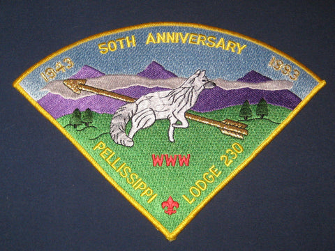 Pellissippi 230 P3 patch