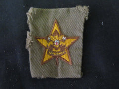 boy scout insignia - the carolina trader