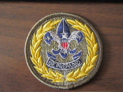 boy scout insignia - the carolina trader