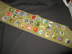 boy scout merit badges - the carolina trader