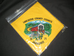 lancaster county council - the carolina trader