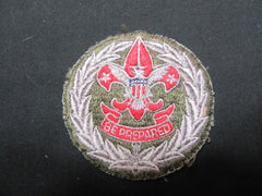 boy scout insignia - the carolina trader