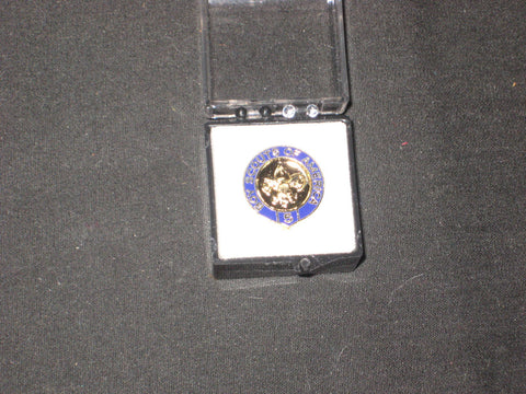 5 Year Veteran Pin