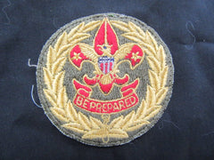 Boy Scout insignia - the carolina trader