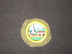 merit badges - the carolina trader