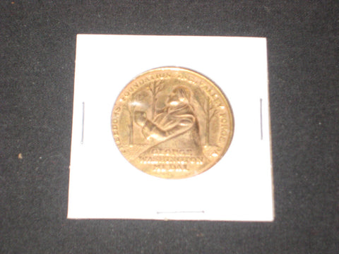 Get Out the Vote Campaign Gold & Silver Coins