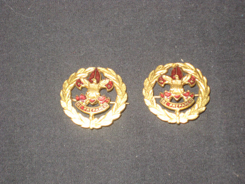 District Executive Collar Brass Pair