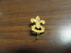 boy scout insignia - the carolina trader