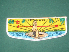 Keyauwee 70 s4 flap-the carolina trader