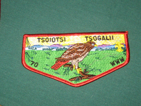 Tsoiotsi Tsogalii 70 s1 flap