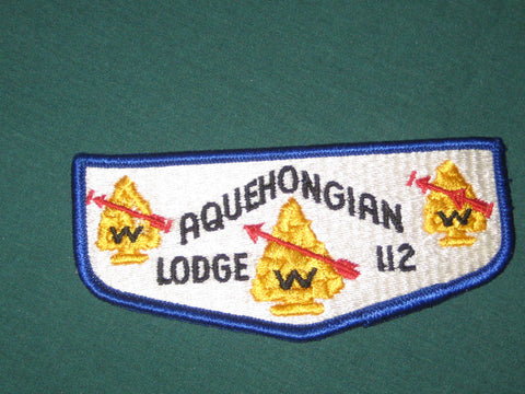 Aquehongian 112 s3 flap