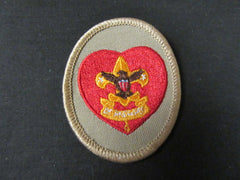 boy scout insignia - the carolina trader