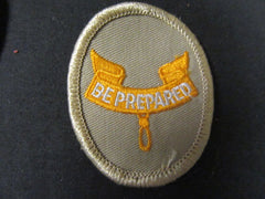boy scout insignia - the carolina trader