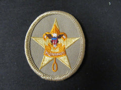 boy scout insignia - the carolina trader