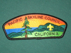 Pacific Skyline Council - the carolina trader