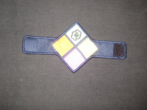 2011 World Jamboree 4 Seasons Neckerchief Slide