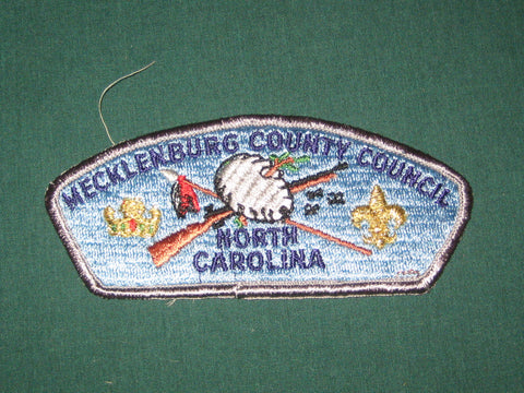 Mecklenburg County Council s3 CSP