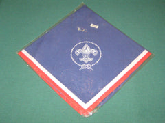 Boy Scouts of America International Neckerchief-the carolina trader