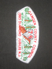 camden County council