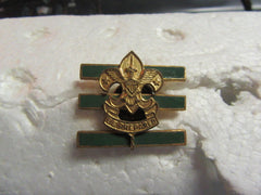 boy scout insignia - the carolina trader