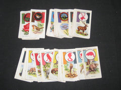 player boy scout cigarette cards - the carolina trader
