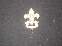 Boy Scout insignia - the carolina trader