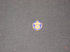 Boy Scout pins - the carolina trader