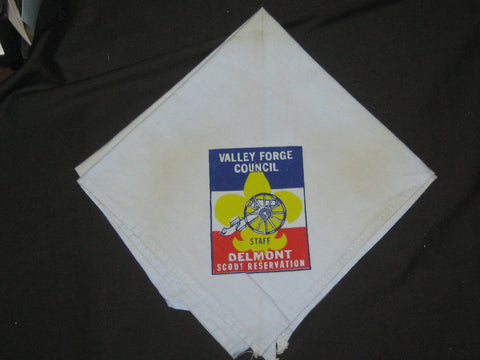 Delmont Scout Reservation Gray Staff Neckerchief