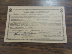 chester county council  - the carolina trader