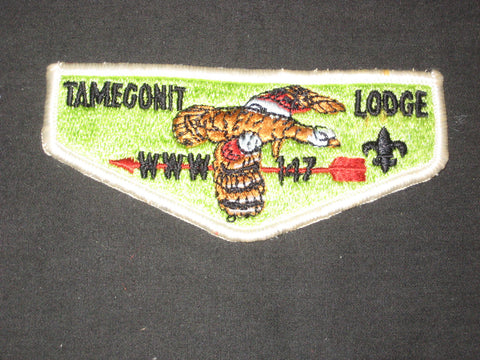 Tamegonit 147 s4a Flap