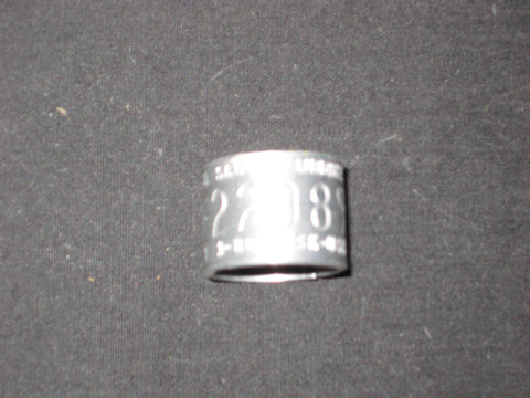 2001 National Jamboree Bird Band