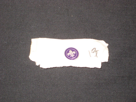 World Scout Badge Official Lapel or Hat Pin