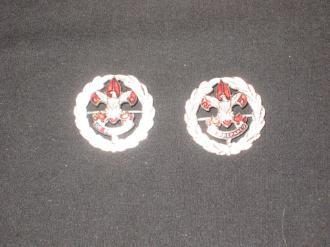 Scout Executive Collar Brass Pair