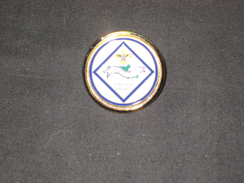 Mass Jam 2003 Neckerchief Slide