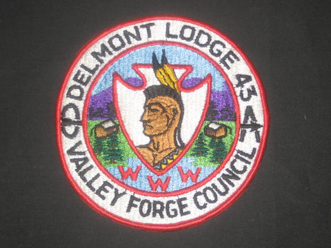 Delmont 43 j1a Jacket Patch